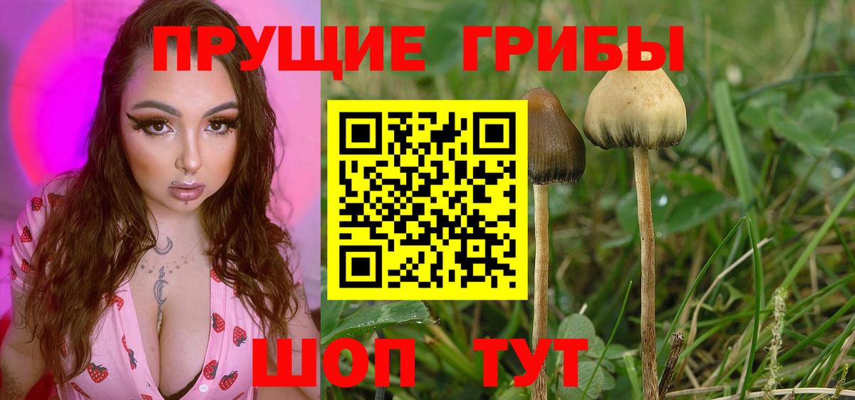 Уварово  Псилоцибиновые грибы мухоморы  Вход с VPN 